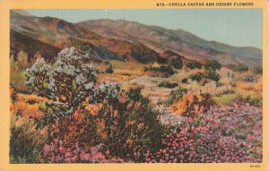 Cholla Cactus and Desert Flowers c.1930's Postcard 2T5-584