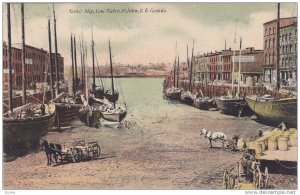 Market Slip,Low water, St.John,N.B., Canada,00-10s