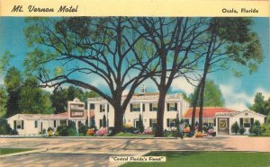 1950s Florida Ocala Mt Vernon Motel roadside Colorpicture Postcard 22-11586