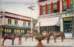 Chehalis WA Public Fountain Chehalis Avenue Horses People Unused Postcard E88