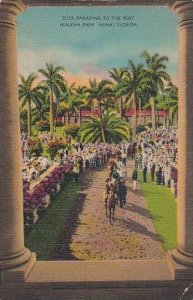 Florida Miami Parading To The Post Hialeah Park Miami