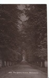 Shropshire Postcard - The Quarry Avenue - Shrewsbury - Ref ZZ4272