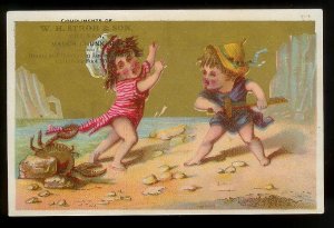 VICTORIAN TRADE CARD Stroh & Son Kids in Swimwear with Crab at Shore Mauch Chunk