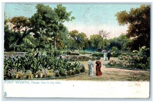 1908 View City Park Exterior Garden Fort Worth Texas Raphael Tuck Sons Postcard