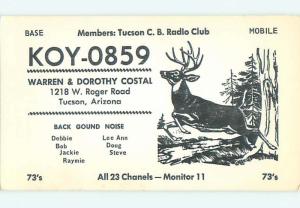 Deer - QSL HAM RADIO CARD Tucson Arizona AZ t1435