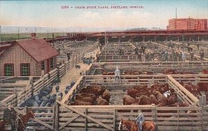 Oregon Portland Cattle At The Union Stock Yards