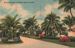 Vintage Postcard 1958 Parkway Palms and Flower Landscapes Golden Beach Florida