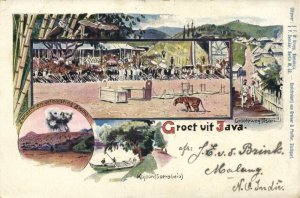 indonesia, JAVA, Circus, Grooteweg Tosari, Kajoon Surabaia (1900s) Postcard