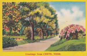 Nebraska Greetings From Crete 1953