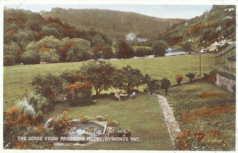 Herefordshire Postcard - The Gorge from Paddocks Hotel - Symonds Yat   DP401