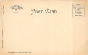 Auburn, New York NY    POST OFFICE  Cayuga County  ca1900's UDB Vintage Postcard