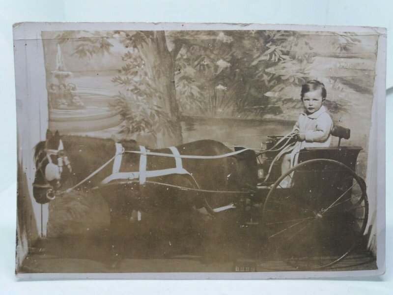 Little Boy Driving Tiny Pony & Trap Vintage Postcard