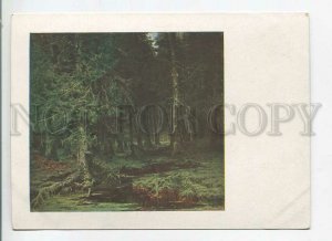 482741 USSR 1932 Klever virgin forest publishing house GIZ Old postcard