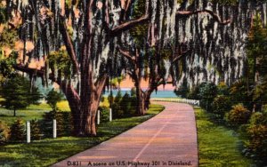 A Scene On U S Highway 301 In Dixieland