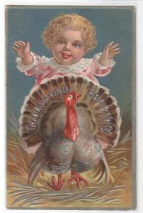 Small Child with Turkey Thanksgiving Day 1910s postcard