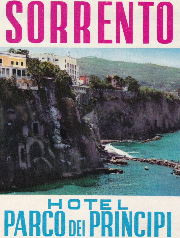 Italy Sorrento Hotel Parco Dei Principi Vintage Luggage Label sk3019