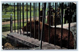 1911 Bear Pit Point Defiance Park Tourists Tacoma Washington WA Antique Postcard