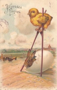 Embossed Easter chicken on stilts bunny rabbit 1905 fantasy greetings postcard
