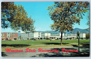 Bozeman Montana MT Postcard Lewis Clark Halls Montana State University M.S.U.