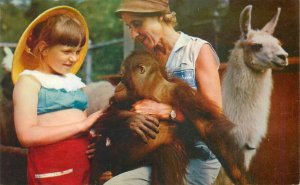 Postcard Illinois Brookfield Chicago Children's Zoo & Farm Roberts 23-930