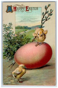 c1910's Happy Easter Chick On Top Of Egg Pipe Berry Embossed Antique Postcard