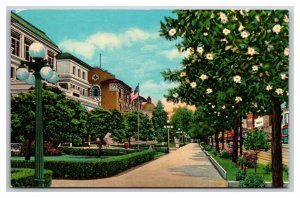 Bath House Row Magnolia Promenade Hot Springs Arkansas AR UNP Chrome Postcard Z3