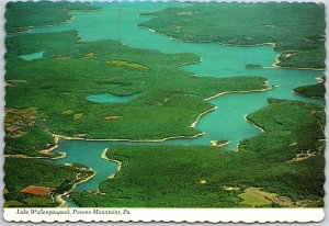 Lake Wallenpaupack Pocono Mountains Pennsylvania PA Beaches Shorelines Postcard