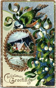 c1910 CHRISTMAS GREETINGS BIRD COTTAGE KENESAW NEBRASKA EMBOSSED POSTCARD 39-228