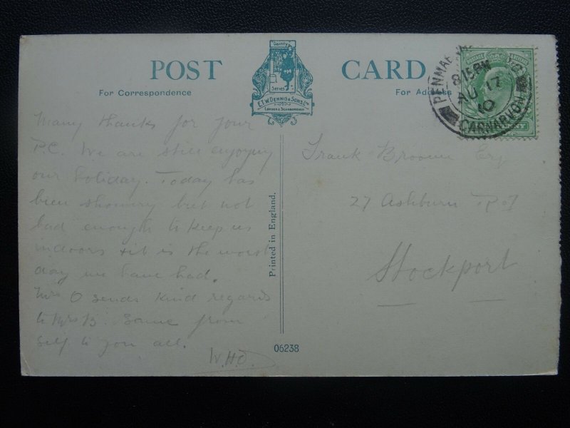 Wales MENAI STRAITS from ANGLESEY COLUMN c1910 Postcard by E.T.W. Dennis