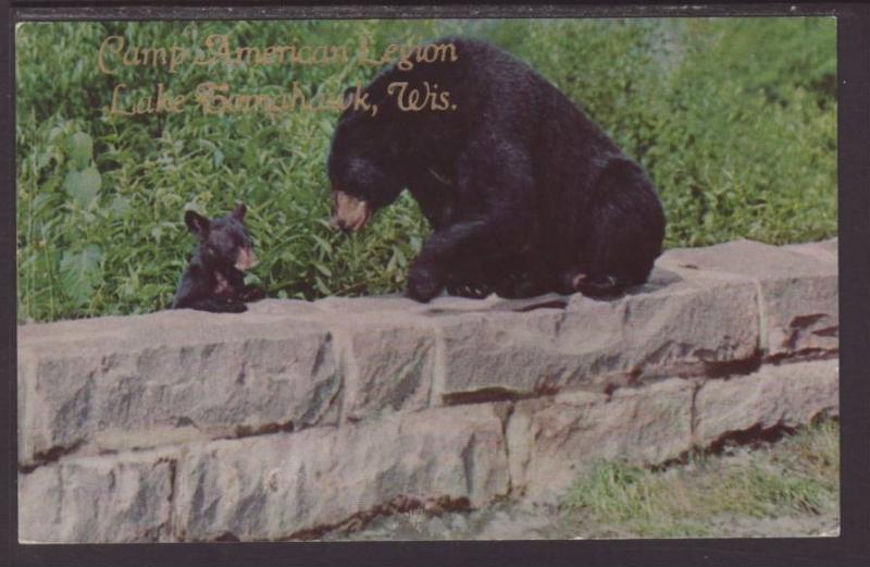 Black Bears,Camp American Legion.Lake Tomahawk.WI Postcard