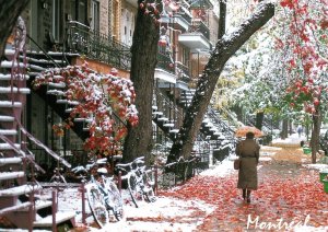 CONTINENTAL SIZE POSTCARD AUTUMN SNOW STREET SCENE MONTREAL QUEBEC CANADA