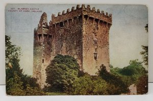Blarney Castle County of Cork, Ireland Postcard C12