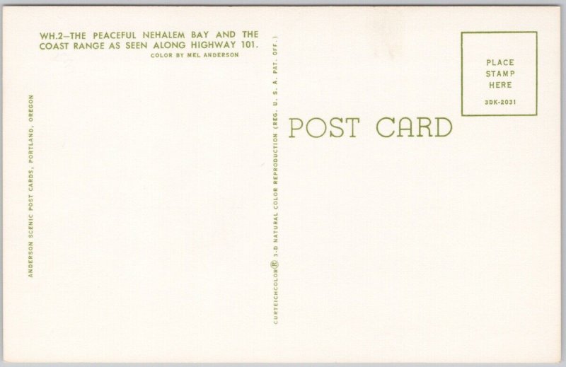 Nahalem Bay Oregon from Highway 101 OR Unused Vintage Postcard H64