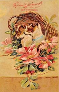 FOX TERRIERS-HERZLICHEN GLUCKWUNSCH zum NAMENSTAGE-GERMAN NAME DAY POSTCARD