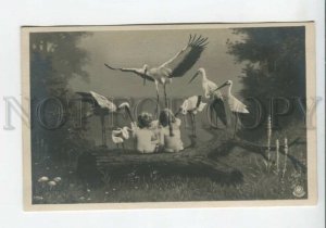 440231 Nude MULTIPLE BABIES & Family STORK Vintage postcard PHOTO Collage