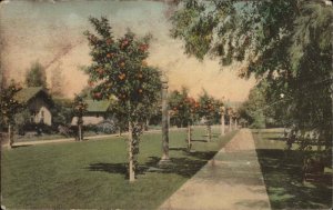 Chandler Arizona AZ San Marcos Bungalow Grounds Albertype Vintage Postcard