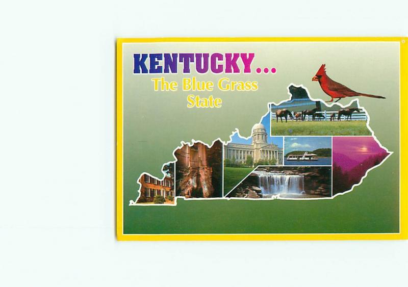 Vintage Postcard Blue Grass State Cardinal Horses Boating  Kentucky # 3254