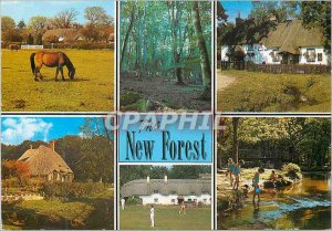 Postcard Modern New Forest
