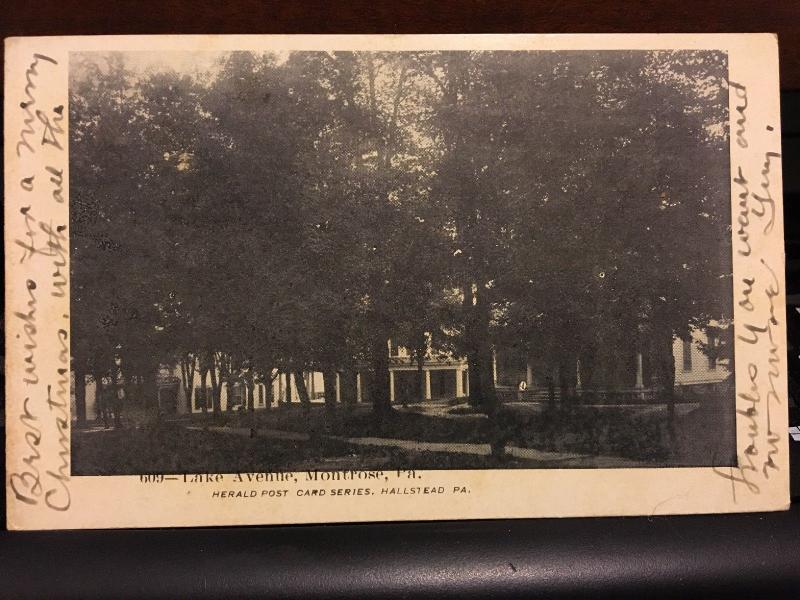 Lake Avenue, Montrose, PA by Herald Post Card Series d19