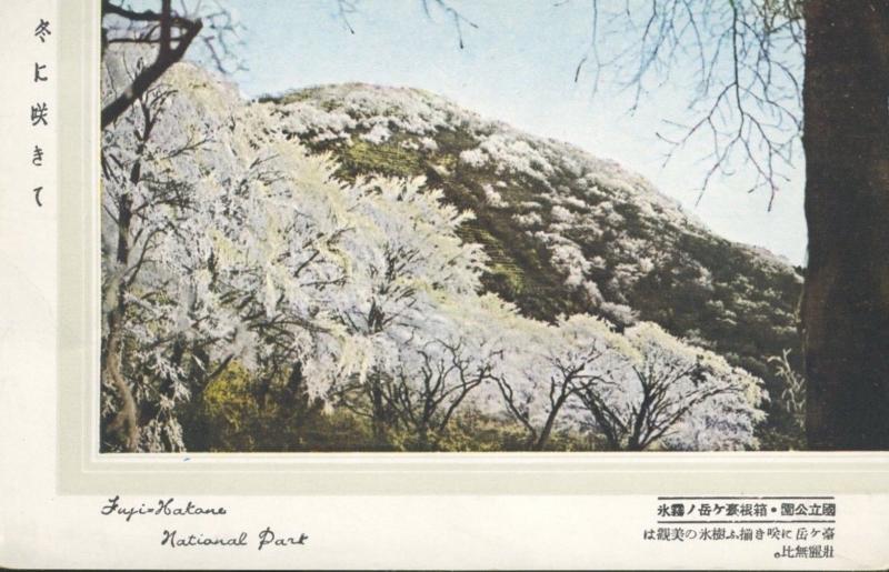 Fuji-Hakone-Izu National Park Honshu Japan Landscape Unused Vintage Postcard D5