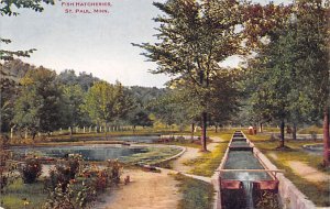 Fish Hatcheries Fish Hatcheries  - St. Paul, Minnesota MN Postcard