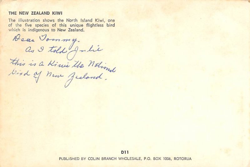 Misc Animals New Zealand Kiwi Writing on back