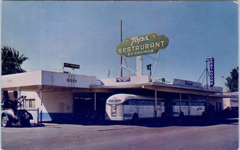 INDIO, CA   GREYHOUND BUS DEPOT & TOPS Restaurant  c1950s Roadside  Postcard