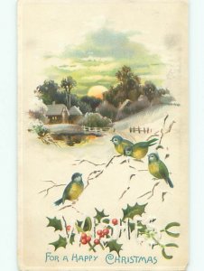 Divided-Back CHRISTMAS BIRDS SCENE Pretty Postcard W8576