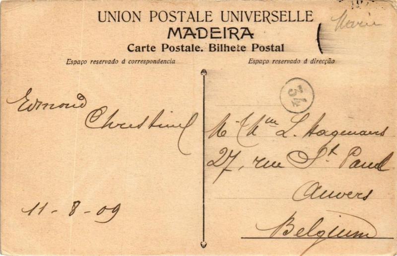 CPA AK MADEIRA - Monte Palace Hotel PORTUGAL (760138)