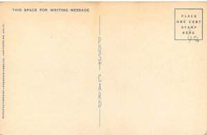 Linen WWII Postcard Keep Em Flying Silhouette on Back 950 Lockheed P 38 Jusmet