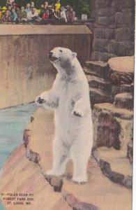 Missouri St Louis Pollar Bear Pit St Louis Zoo 1945