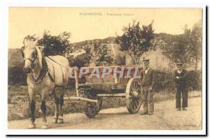 Hazebrouck Old Postcard Flemish Dumper TOP