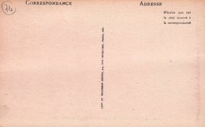 Vue Generale er l'Aiguille du Dru,Chamonix,France BIN