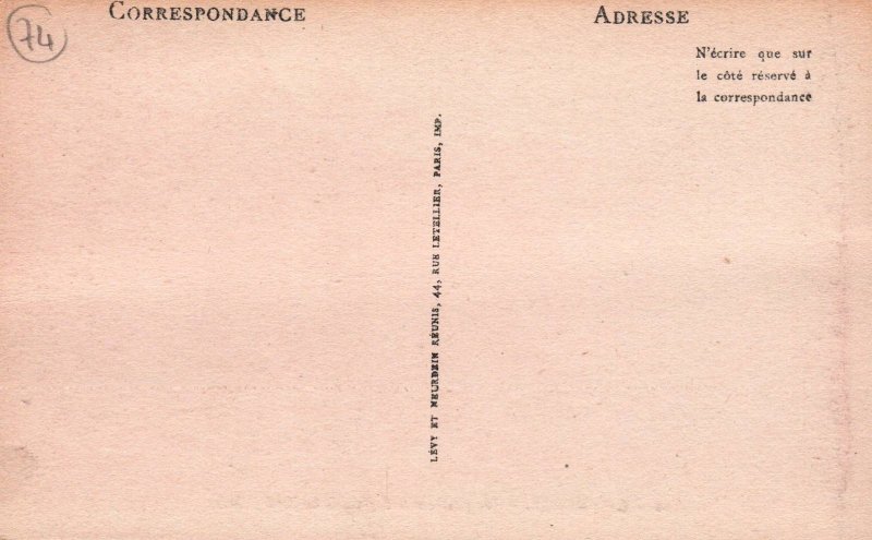 Vue Generale er l'Aiguille du Dru,Chamonix,France BIN